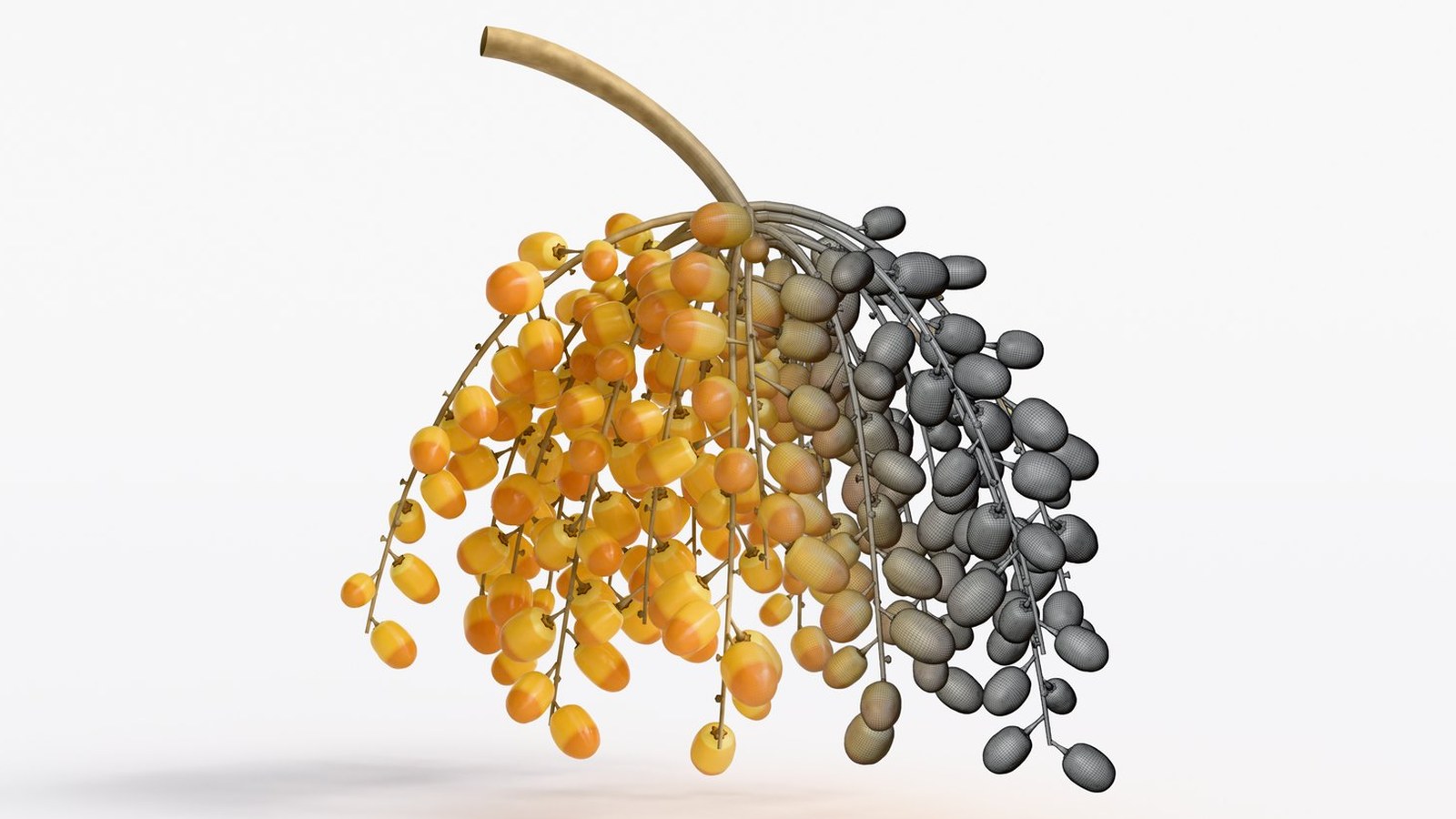 Date Palm Pro — Date Bunch Generator for Blender